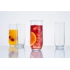 Ravenhead 41.296 Tulip Sleeve of 4 30cl Hiball Glasses, Multi-Colour