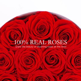 FIACO Valentines Day Gifts for Her Preserved Flowers in a Box-12 Forever Real Rose Flowers for Delivery Birthday Gifts for Women Mom Wife Girlfriend Fresh Flowers Eternal Rose Red