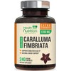 Caralluma Fimbriata Extract 1200mg - Maximum Strength Natural Caralluma Fimbriata