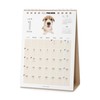 THE DOG 2026 Desktop Calendar (Welsh Corgi)