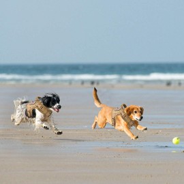 SALFSE Tactical Dog Vest Harness, Outdoor Training Service Dog Vest Adjustable Military Working Dog Vest with Molle System and Rubber Handle