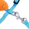 Adjustable Hedgehog Training Harness with Leash, Nylon Rope with Cute