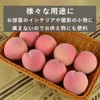 TKY Food Sample, Peach, Display, Interior, Accessory, Model, Exhibition, Drawing,