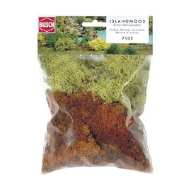 Lichen Yellow & Brown