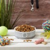 Bone Dry Paw & Patch Ceramic Pet Collection, Medium Bowl,