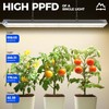 Barrina TX36 2FT LED Grow Light for Indoor Plants, 36W(200W