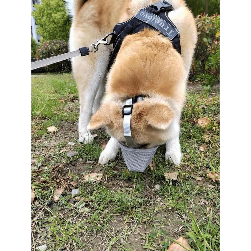 Dog Muzzle for Large Medium Small Dogs, Full-Covered Soft Mesh