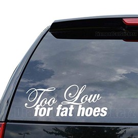 DiamondCutStickerz Too Low for Fat Hoes Japanese JDM Decal Sticker Car Truck Motorcycle Window Bumper Laptop Wall Decor - Size (22 inch / 56 cm Wide) - Color (Matte Black)