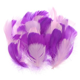 PATIKIL Colorful Feathers 3-5inch, 300pcs Goose Feathers Bulk for Crafts DIY, Wedding Home Party Decorations Dream Catcher, Pink/Purple