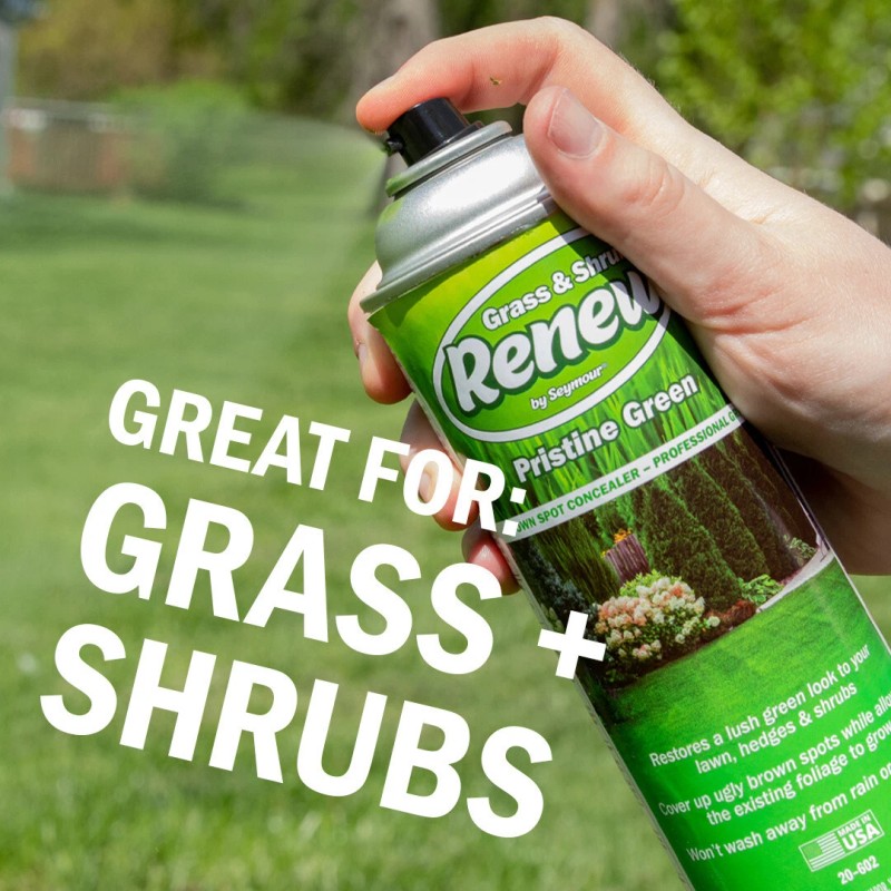Seymour 20-602 Grass and Shrub Renew Paint, Pristine Green, 2/Pack