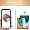 Smart Visual Ear Cleaner with Camera Ear Sticks USB C