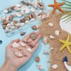 PH PandaHall 80PCS Shell Pendants, 8 Styles Spiral Seashells Craft