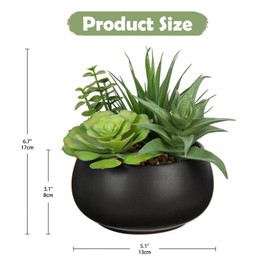 Fake Plants Artificial Succulents in Pots Faux Succulent Arrangement Potted Plant with Black Ceramic Pot for Home Decor Modern Office Desk Bathroom Shelf Living Room Indoor & Outdoor Decoration