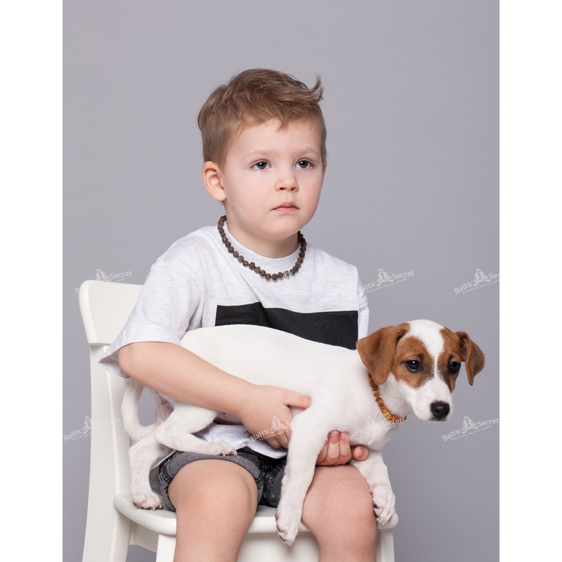 Extension for Amber Necklace Dog & Cat Amber Collar &