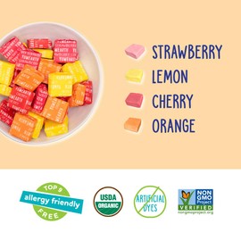 YumEarth Organic Chewys Fruit Flavored Candy Chews - Allergy Friendly, Gluten Free, Non-GMO, Vegan, No Artificial Flavors or Dyes - Assorted Flavors, 7.5 oz.