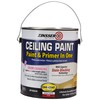RUST-OLEUM 260967 Ceiling Paint-Gallon