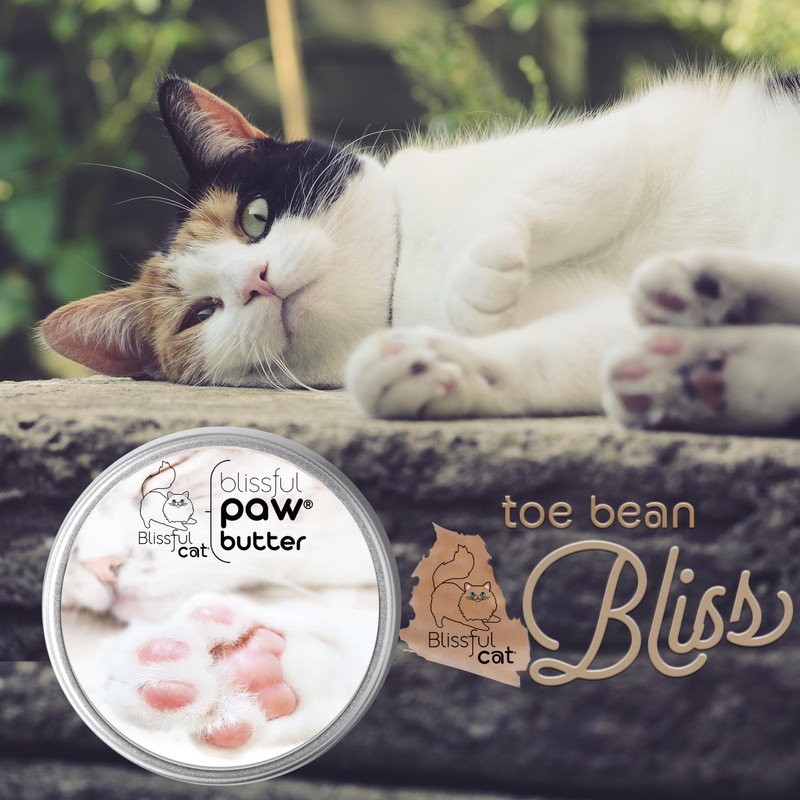 The Blissful Cat Paw Butter, Moisturizer for Dry Paw Pads,