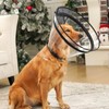 Didopet Didopet Dog Cone, Transparent Recovery Collar for Large Medium