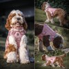 Tactical Dog Harness With Handle, Military Vest for Large Medium