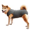 Evel dog onesie, breathable, for surgical abdominal wounds and skin