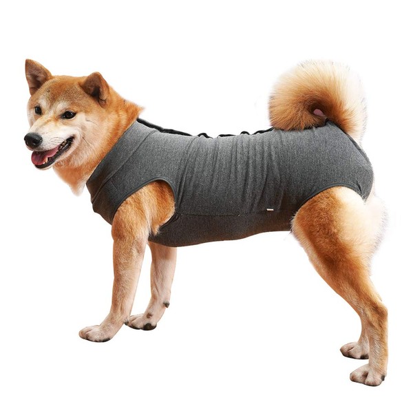 Evel dog onesie, breathable, for surgical abdominal wounds and skin