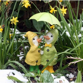 Dilly and Dally Puddle Ducks. garden ornaments, Pair of Ducks, 32cm high with detachable umbrellas, wearing Boots