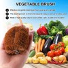 2pcs Vegetable Brush Scrubber for Food, Coconut Fiber Vegetable Scrub