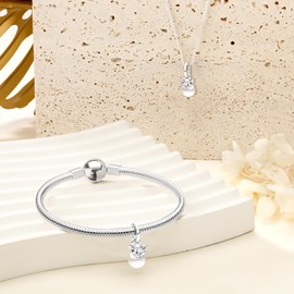 Ruaidhra Sterling Silver Charms Pendant, Infinity Friendship Family Heart Charms, Charms for Bracelet Necklace, Charm Clip Stopper Bead Charms for Women, Sterling Silver