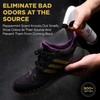 Gold Standard Shoe Deodorizer Spray, 6 oz – Shoe Spray