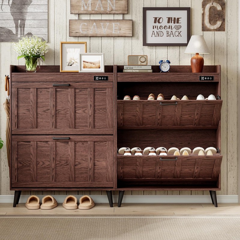 ChooChoo Shoe Storage Cabinet with 2 Flip Drawers, Deodorizing Shoe