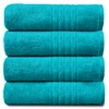 Gaveno Cavailia 100% Natural Cotton Thick Absorbent 450 GSM Hampton