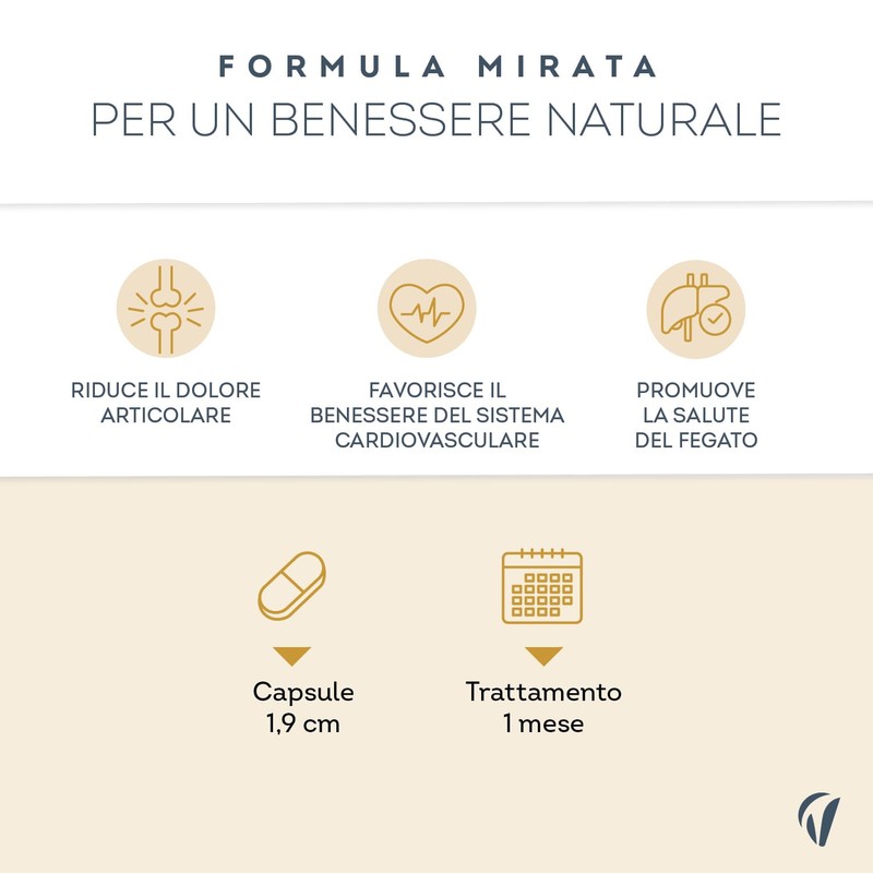 Curcuma Bio 2000 mg con Zenzero e Pepe Nero- Alta