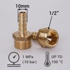 SKIR'CO Male Thread Barb Brass Fitting 1/2 Inch x 10