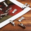 Litoexpe 12 Pcs 1/2 Inch Mini Metal Spring Clamps Alligator
