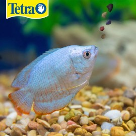 Tetra Alimento Tetramin Tropical Granulos 100 Gr 3.52 Oz Acuario Peces Pecera