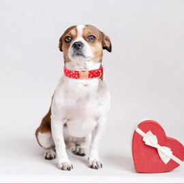 Babole Pet Valentine Dog Collars for Large Dogs - Adjustable Red Pink Heart Valentine Dog Collar Soft Padded Pet Metal Buckle Collar for Boy & Girl Dogs L