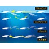 Shimano Colt Sniper Rock Flat 150S Jet Boost XX-S15S 004