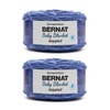 Bernat Baby Blanket Dappled Wandering Blue Yarn - 2 Pack