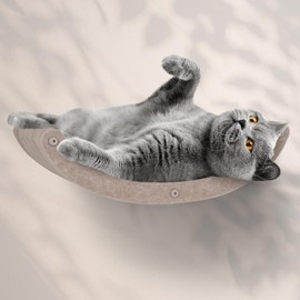 Cat Wall Hammock by Pryde Pets, Perch and Cat Shelf for Wall - 100% PET Felt, Sustainable - Modular Floating Shelf for Cats, Indoor/Outdoor Cat Furniture (Oatmeal)