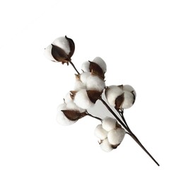 Operitacx 34cm Dried Cotton Stems, 6 Artificial Flowers, Natural Home Decor for Wedding Outdoor Vase Decoration