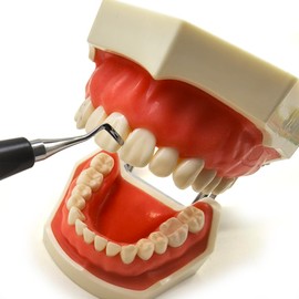 Dental Composite Resin Modeling Instrument Filling Spatula Assortment Kit Tool Sculpt Pads Mixing Handle Foam Pads L/S (1 Set Plastic Handle)