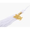 GradClassical Unisex Adult Matte Graduation Cap with 2024 Tassel for