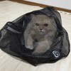 Calming Net, Cylindrical