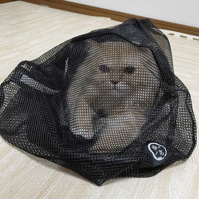 Calming Net, Cylindrical