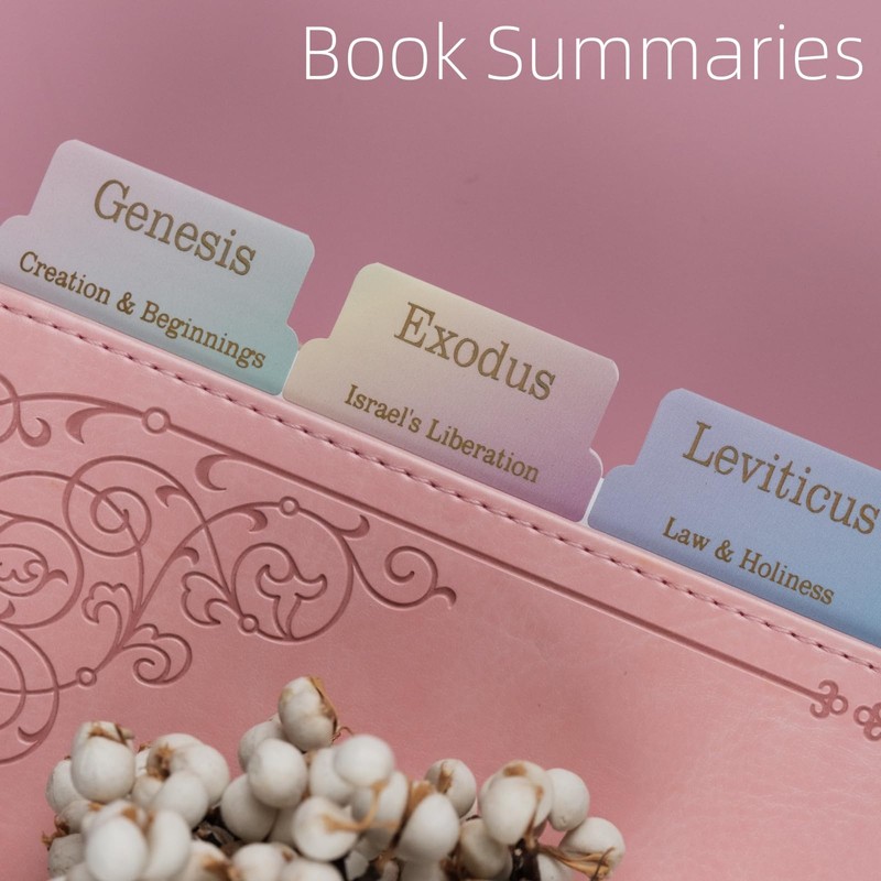 UPAFEXXI-Laminated Bible Tabs with Book Summaries(Gold Foil Embossed Lettering), Bible