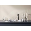 EVA SOLO | Dishbrush Silicone | Robust Washing-up Brush with