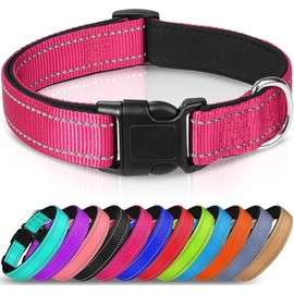 Strong Bright Reflective Dog Puppy Collar, Soft Padded Lightweight, Fully Adjustable. Small Medium Large Dog Breeds (Pink, M (Pack of 1))
