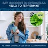Fruit Fly Drain Treatment | Drain Fly Eliminator | Eliminates