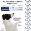 Hamilton Double Thick Nylon Buckle Dog Collar for Medium &
