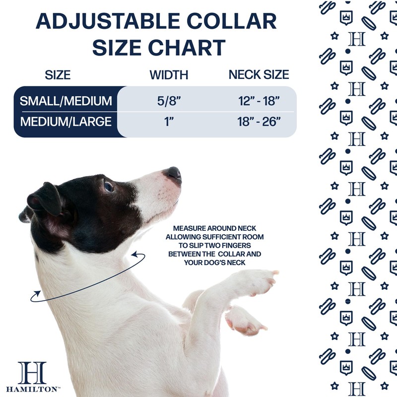 Hamilton Double Thick Nylon Buckle Dog Collar for Medium &